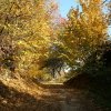 img_9562