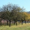 img_9582