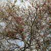 img_9585