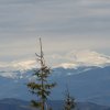 img_1266