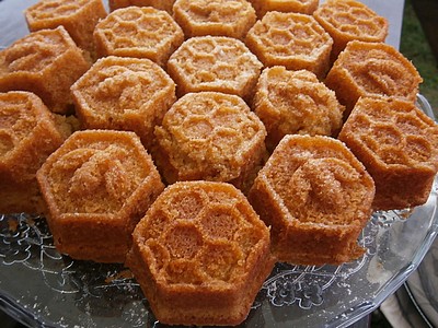 kkv ilustracne foto 2