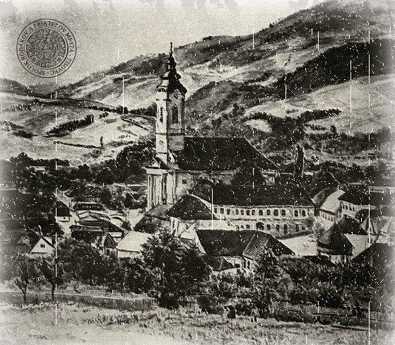 krivos tisovec1