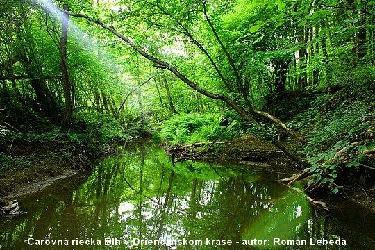01 Nasa priroda Drienčanský kras a