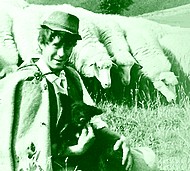 vt Mitrovanie1a