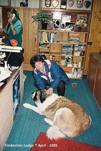 js 1985-April-With-the-Rescue-Dog-at-Timberline Lodge