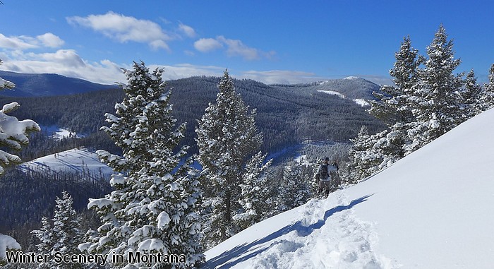js Winter-Scenery-in-Montana