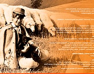 vt mitrovanie 2015 1a