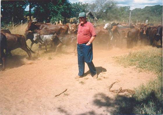 perdik andrej i 4115942