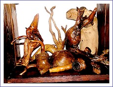 Samorasty pán Pellionisa z Košíc, rodáka z Dobšinej