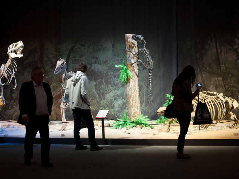 2014-01-22-07-39-04-dino1