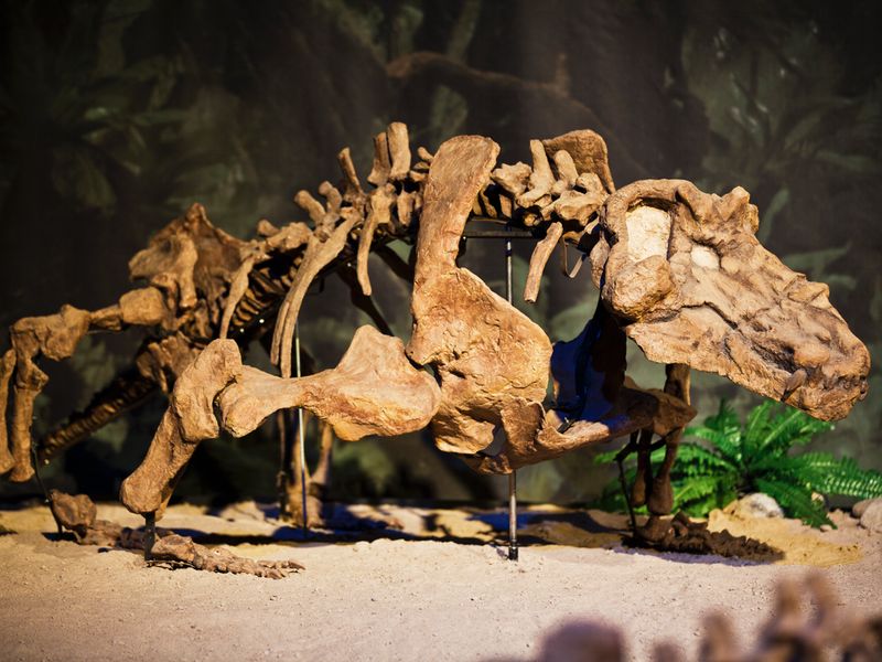 2014-01-22-07-39-32-Dino-4