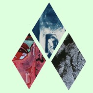 rs academic-absurdity1a