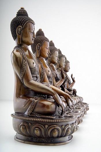 ba Diahni buddhovia small