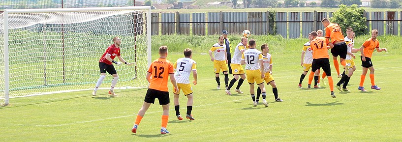 krásna horka v geci b