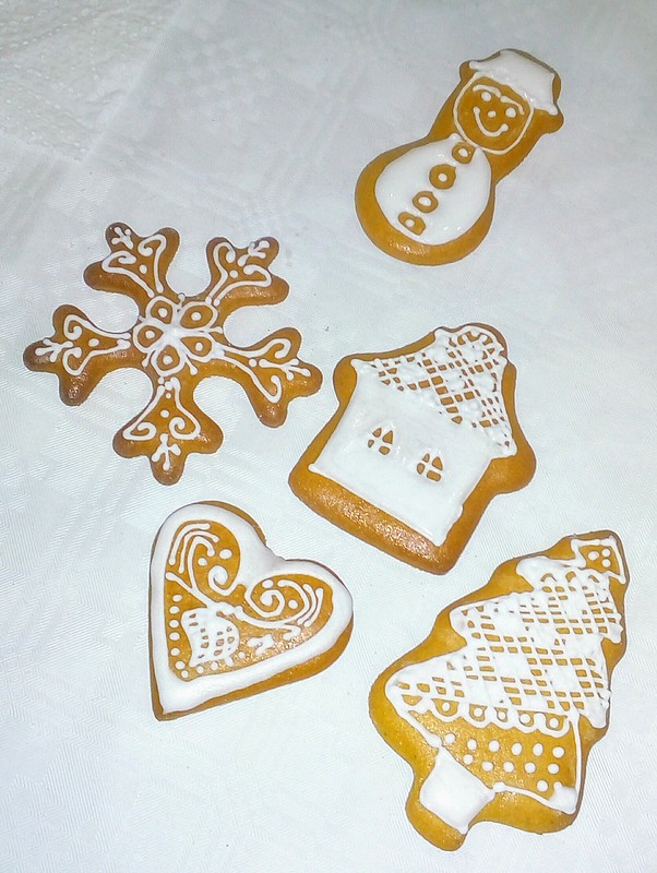 rv medovnikovo IMG 20171207 183137 1