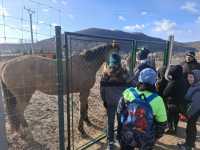 Záver roka s mladými jelšavskými hasičmi na vychádzke do multifunkčného areálu
