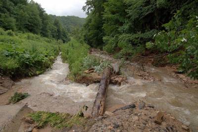 Lesníci spúšťajú cezhraničný projekt pre zmiernenie klimatickej zmeny v regióne Gemer