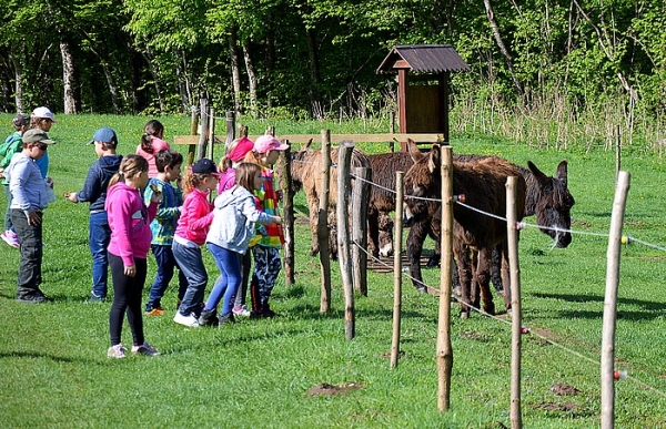 Deň Zeme využili žiaci na spoznávanie sysľov a somárikov