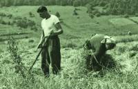 Roľnícky život na hornom Gemeri a jeho premeny v priebehu času