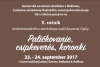Umenie ukryté v paličkovanej čipke