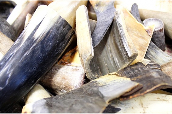 Na podujatí U nás taká obyčaj je vyhradená téma Rohovina, ako ju nepoznáme