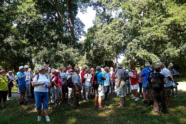 Šestnásty okresný turistický zraz seniorov okresu Revúca bol v Tornali