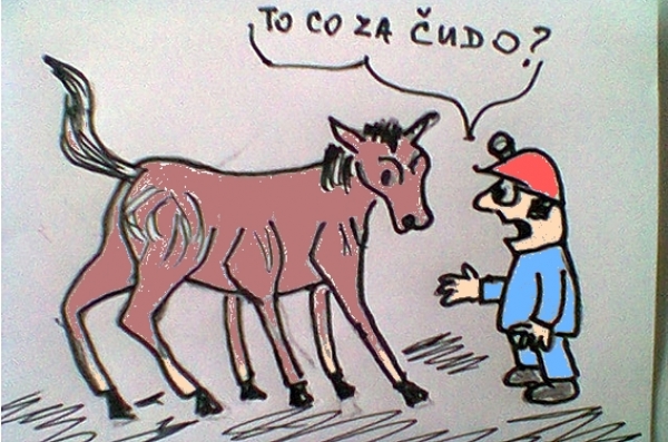 Ing. Marian Slavkay: Príhody baníkov z Gemera a Spiša - Kôň so šiestimi nohami