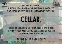 Umelec Roland Neupauer svojou autorskou výstavou Cellar vyzýva k diskusii