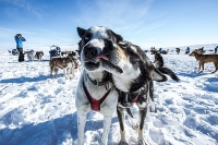 "Fjällräven Polar" je to, po čom sníva Janka Ďurková, rodáčka z Muránskej Dlhej Lúky