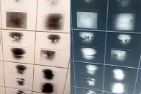 Žiaci ZŠ J. A. Komenského nesedeli v laviciach, ale cestovali a objavovali zázraky fyziky