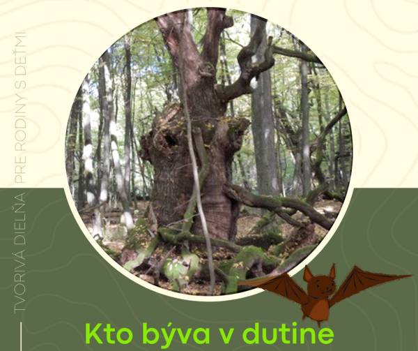 Kto býva v dutine * Tvorivá dielňa pre rodiny s deťmi
