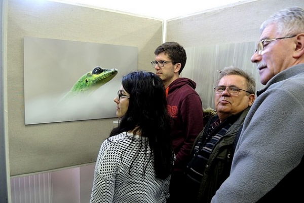 Výstava, ktorá vás cez oči umelcov nechá počuť aj spev vtáka