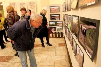 V Klenovci otvorili výstavu fotografií z tohtoročnej súťaže Malohont mojimi očami