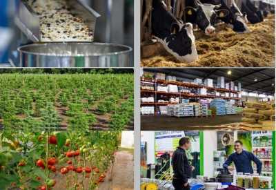 Spoločnosť Humac Košice a jej pozoruhodné výsledky