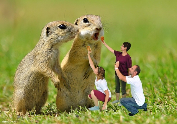 Región Gemer sa predstavil účastníkom Medzinárodných leteckých dní SIAF 2018