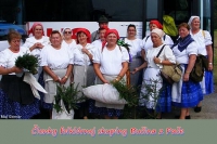 TOPTAŇA KAPUSTI DO BOČKI, alebo tlačenie kapusty s Bučinou z Pače