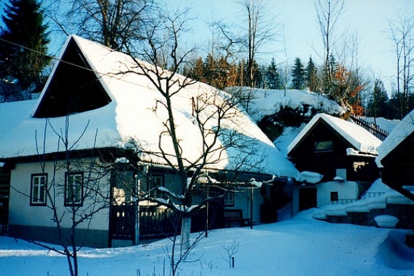 Vianočné obdobie sa spája s rôznymi magickými úkonmi