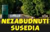 Pozvánka na najbližšie kultúrno-spoločenské podujatia v Revúcej