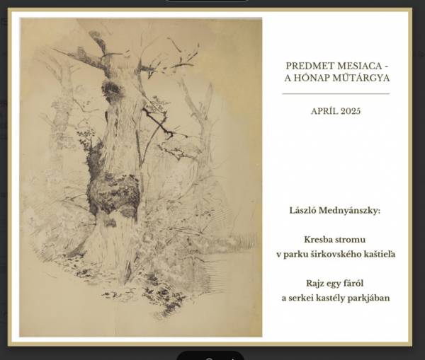 László Mednyánszky: Kresba stromu v parku širkovského kaštieľa – predmet mesiaca apríl 2025
