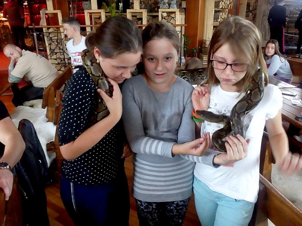 Raz vidieť je viac, ako stokrát počuť