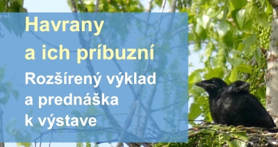 Výkladom a prednáškou k výstave Havrany a ich príbuzní sa dozviete mnoho zaujímavostí z ich života