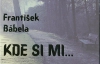 Nad najnovšou zbierkou poézie Františka Bábelu: Kde si mi