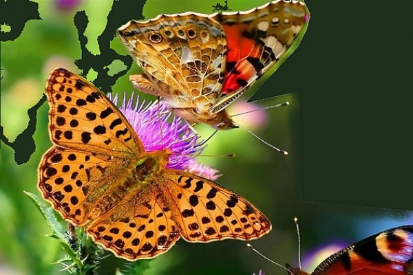 Výstava Premena do krásy, alebo: keď jeden býva vo vrecku a druhý je extrémny letec