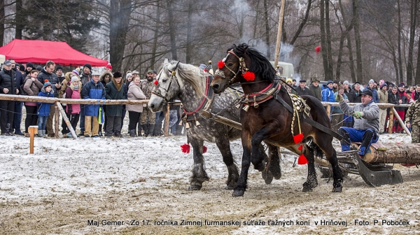 Najlepší furman v Zimnej súťaži ťažných koní získal hriňovskú fujaru