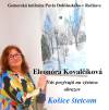Košice štetcom * Umenie nás robí lepšími
